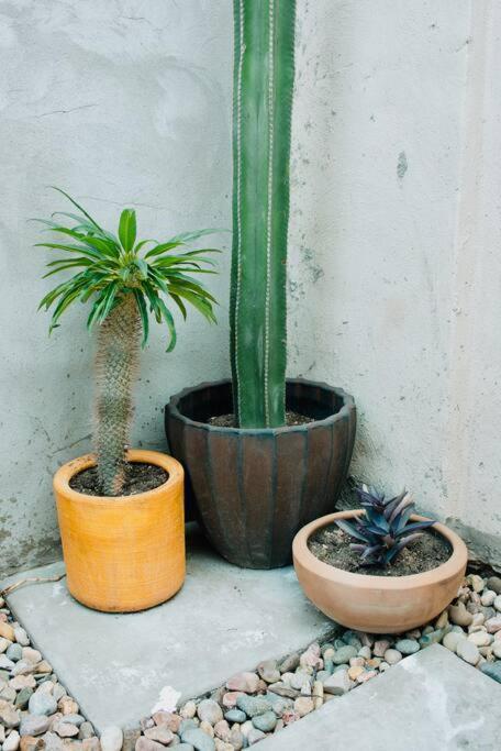 Charming 3Br Oasis, 5 Min Fr Usa - Ac In Every Rm Ciudad Juárez Esterno foto